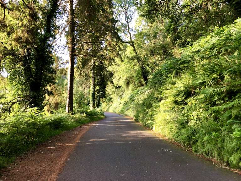 Top 14 Most Beautiful Road Biking Routes around Culbone Wood | Komoot