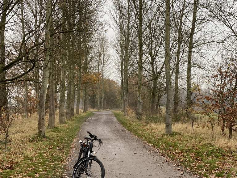 Charnwood forest mountain biking online