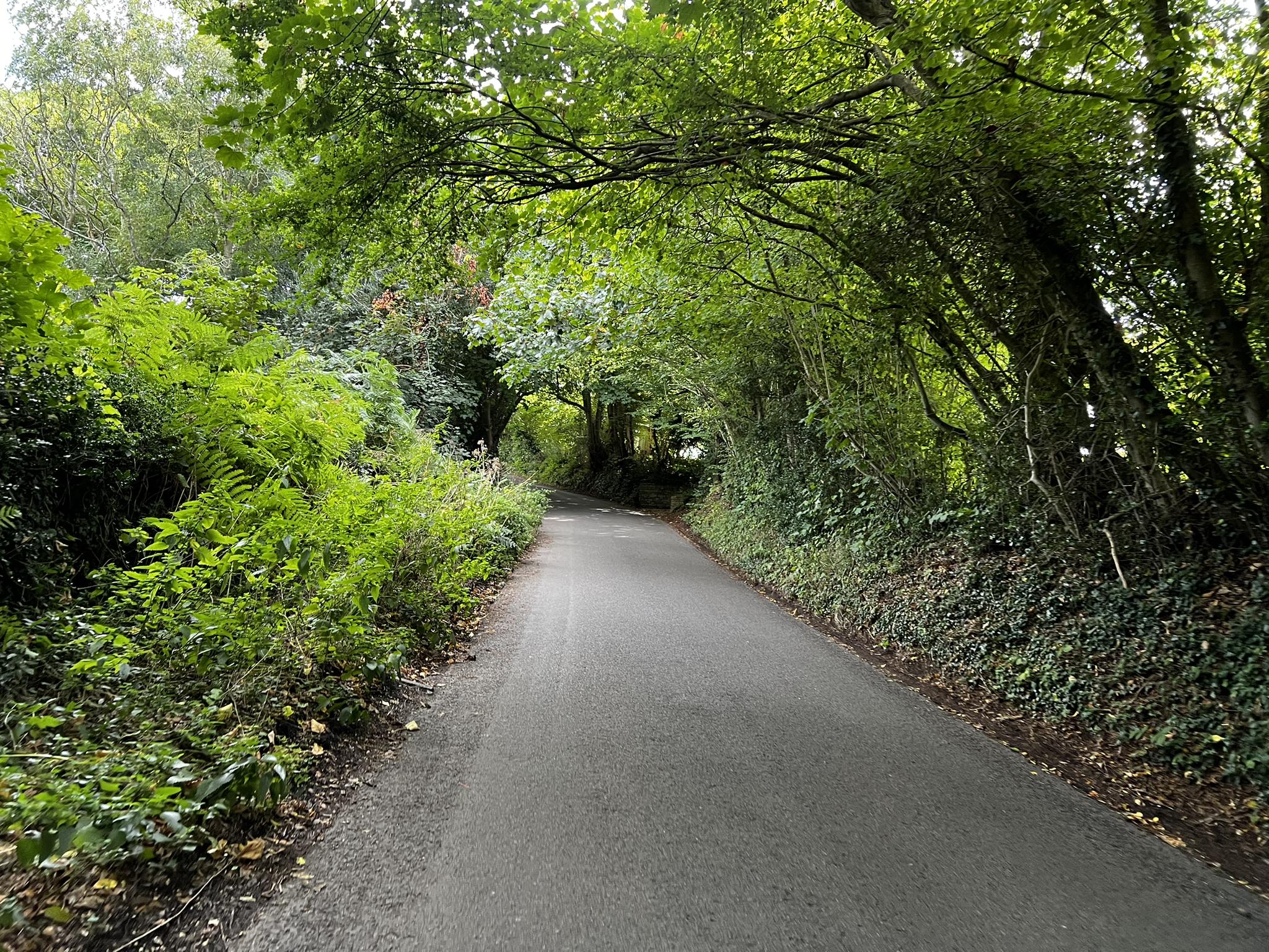 Top 18 Most Beautiful Road Biking Routes Around Fore Wood Nature ...