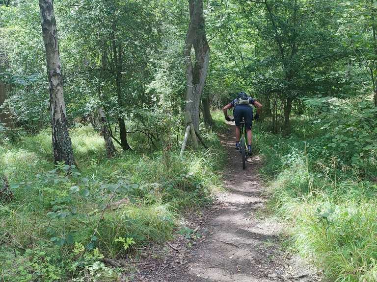 Top 10 Most Beautiful MTB Trails around Wakerley Great Wood Komoot