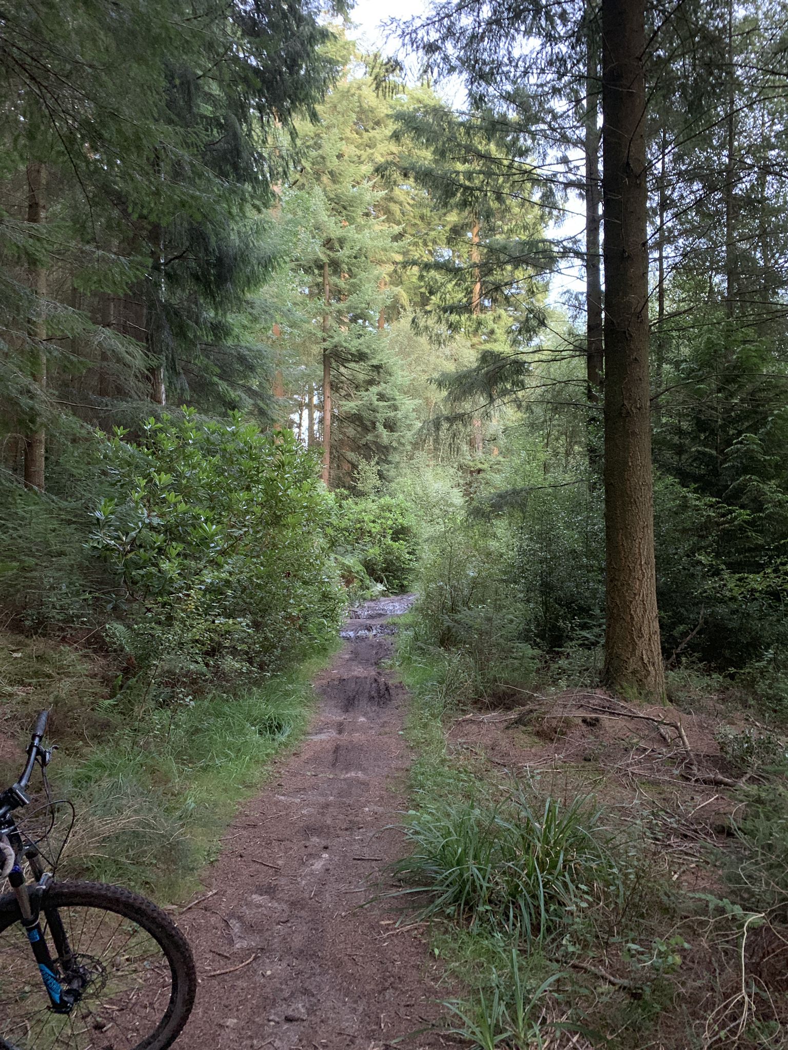 Top 5 Most Beautiful MTB Trails around Longleat Forest Komoot