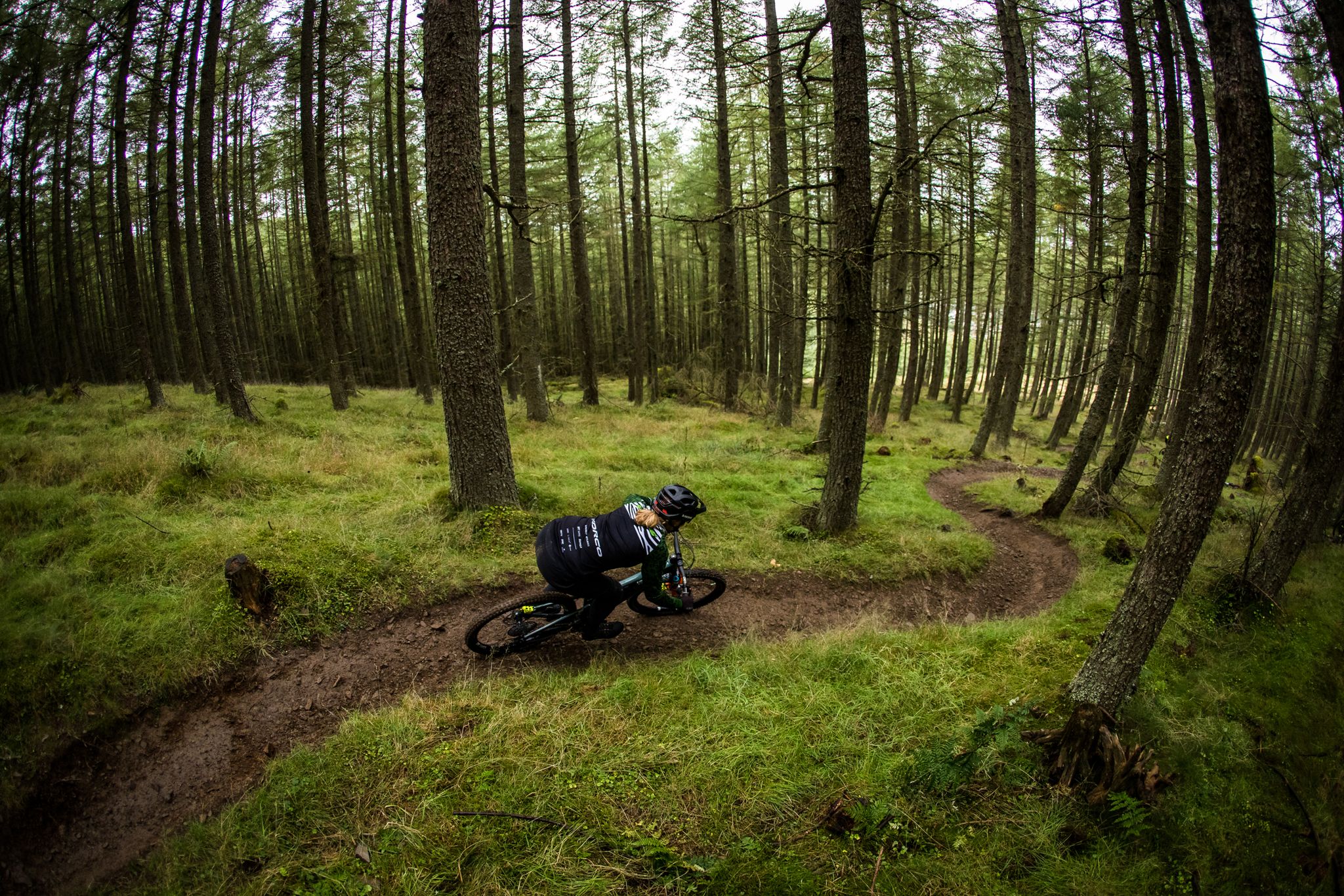 Top 5 Most Beautiful MTB Trails around Glentress Forest Komoot