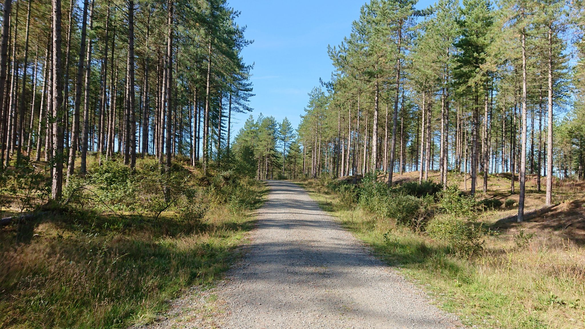 De 5 mooiste wandelroutes rond Coedwig Niwbwrch / Newborough Forest ...