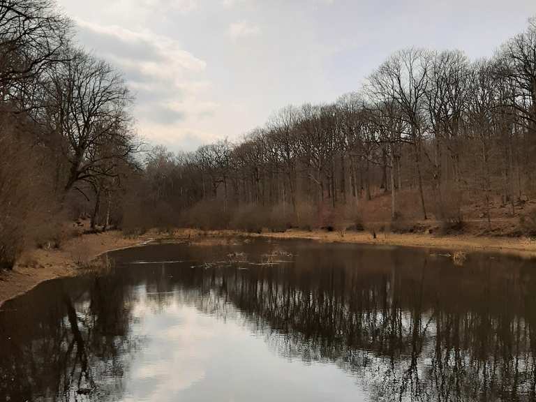 Die 14 schönsten Wanderungen rund um den Forêt de SainteApolline Komoot