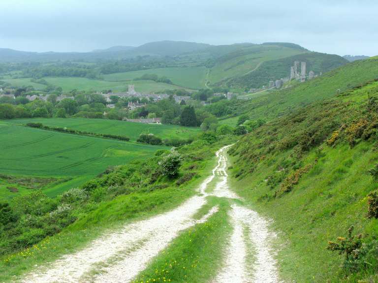 mtb dorset