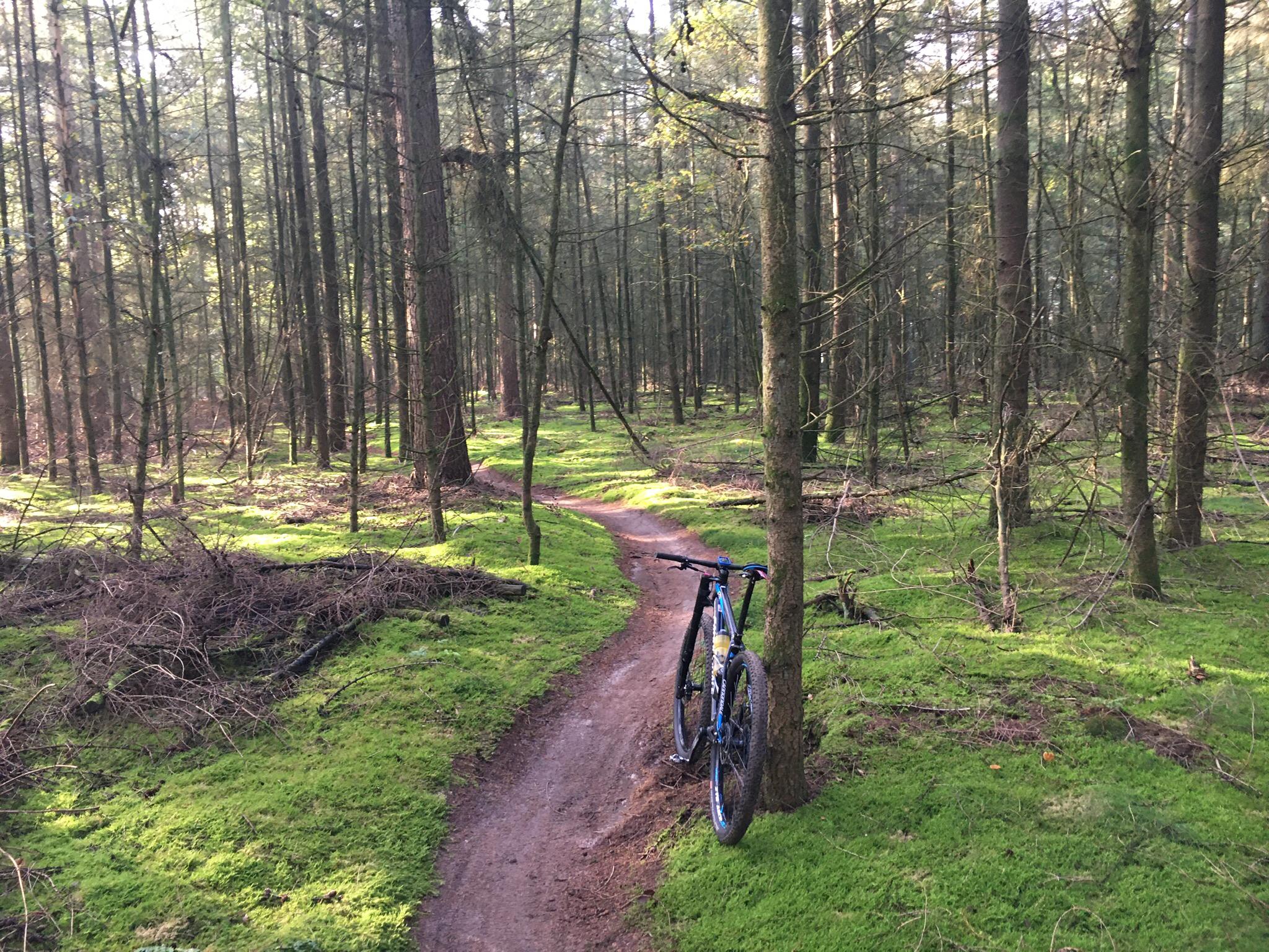 red mountain bike trails