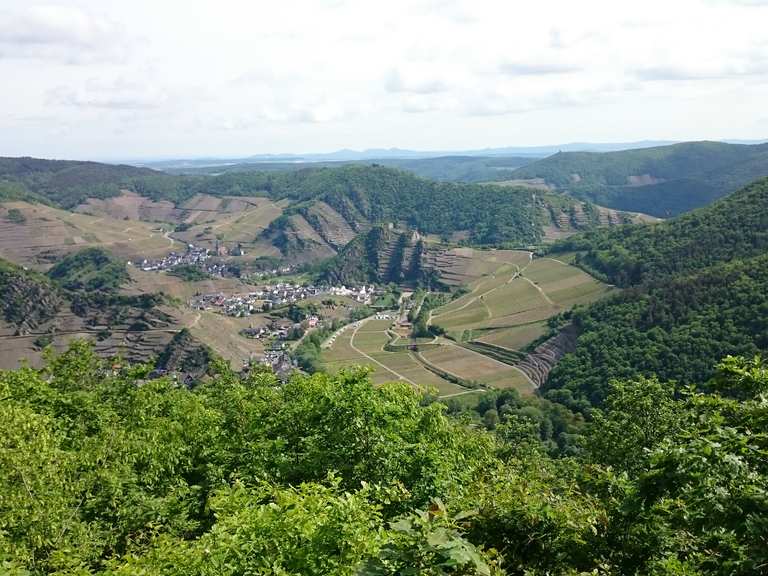 Die 20 schönsten Gipfel in der Eifel Komoot Komoot
