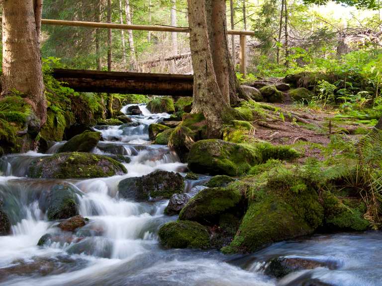 Die 4 schönsten Wasserfälle im Bayerischen Wald Komoot Komoot