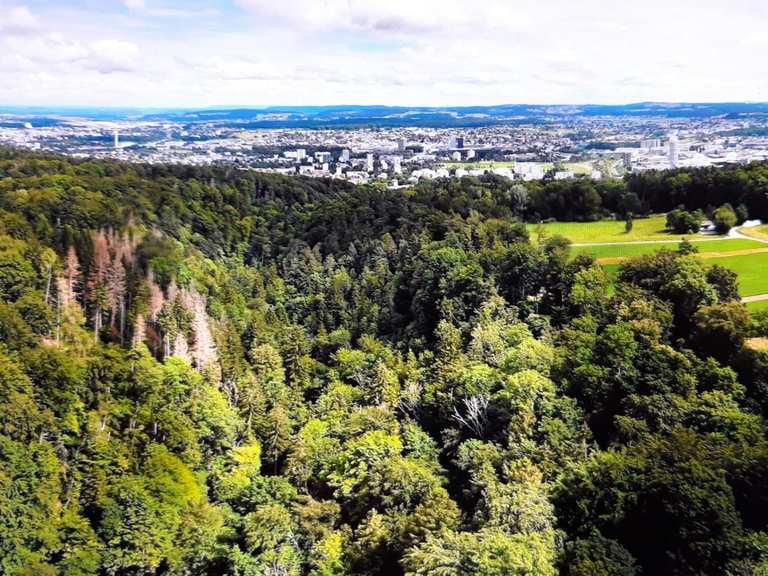 Top 10 Hikes and Walks around Dübendorf | Komoot