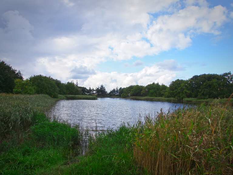 routenplaner fahrrad schleswig holstein