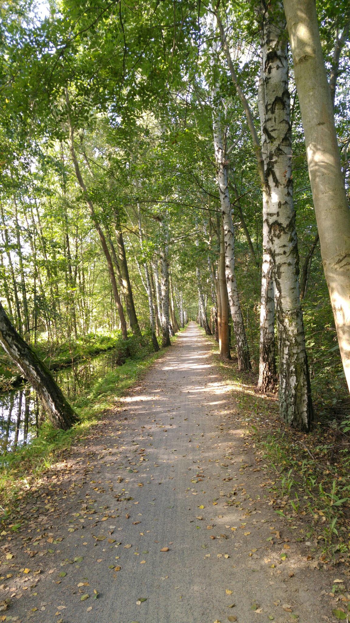 Ausflugsziele Im Spreewald - Die Top 20 | Komoot | Komoot