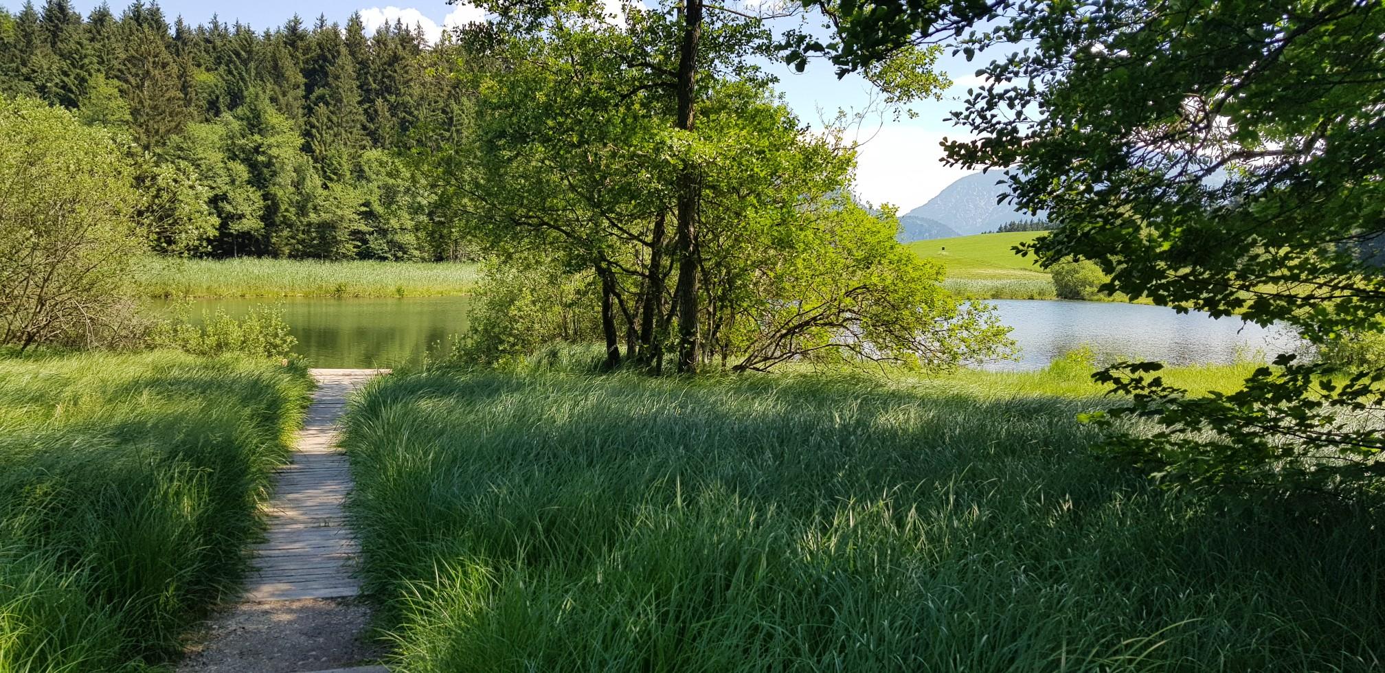 Ausflugsziele Rund Um Den Attersee - Die Top 20 | Komoot