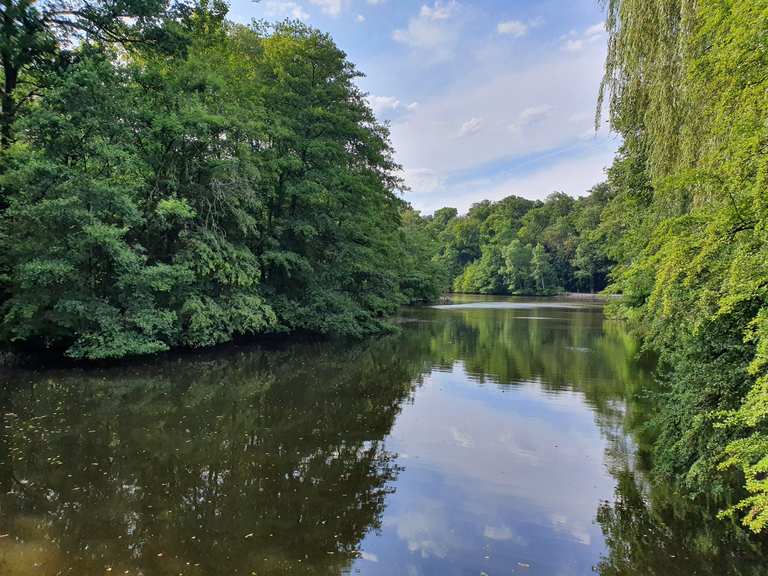 Die 14 schönsten Seen rund um Frankfurt am Main Komoot Komoot