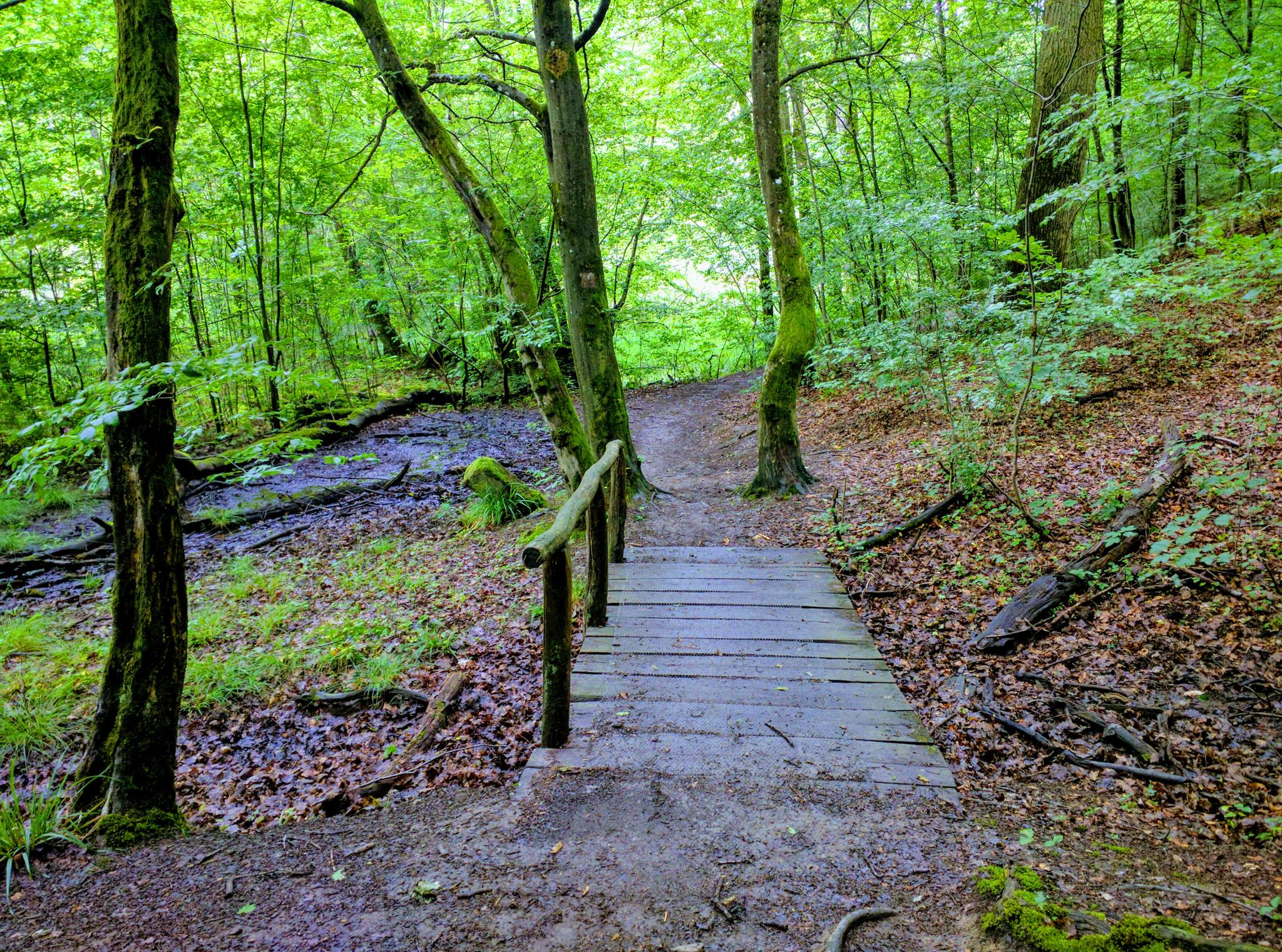 Sehenswrdigkeiten Und Ausflugsziele In Passau Freizeitangebote