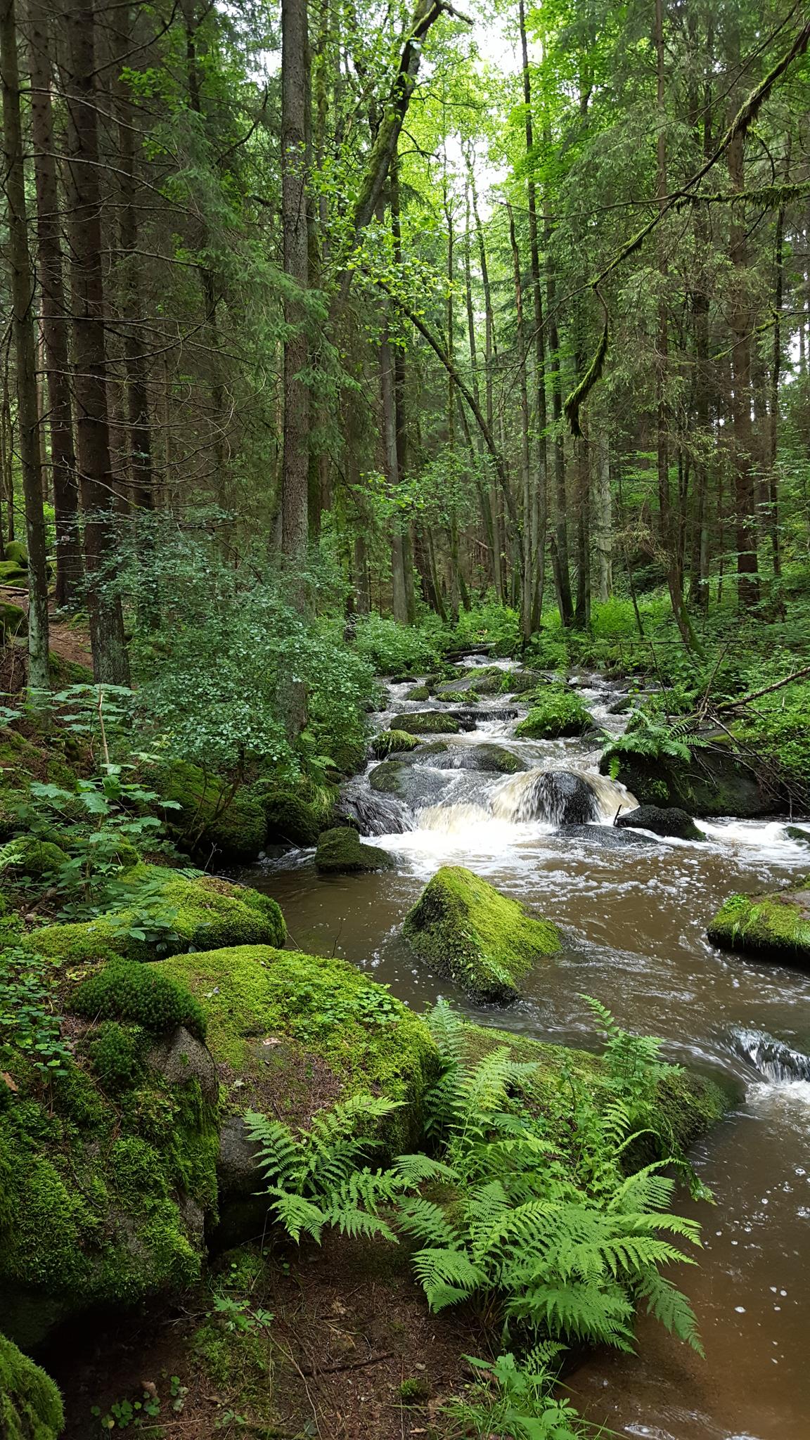 Ausflugsziele Rund Um Weiden In Der Oberpfalz - Die Top 20 | Komoot