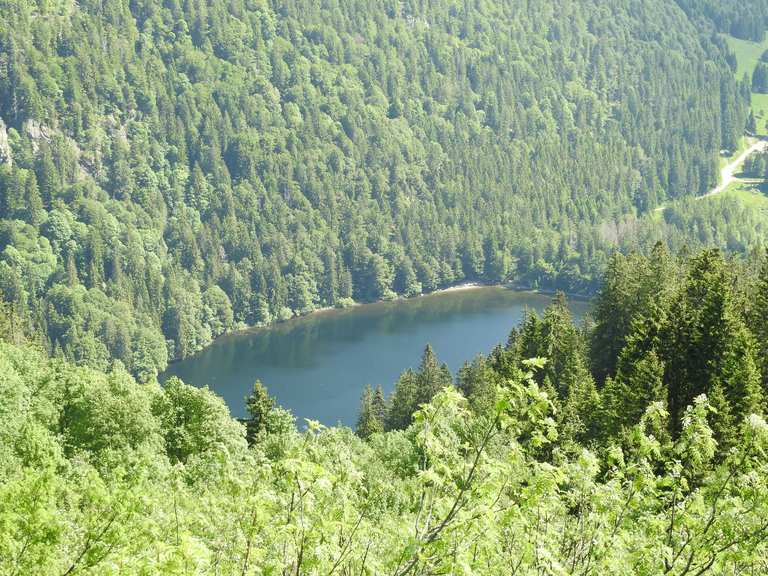 Die 5 schönsten Wanderungen rund um Hinterzarten | Komoot