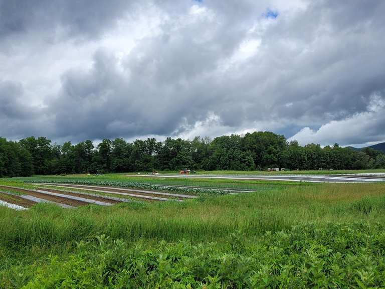 Attractions and Places To See around Conway - Top 20 | Komoot