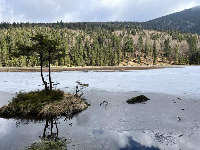 Ausflugsziele rund um Lohberg - Die Top 20 | Komoot