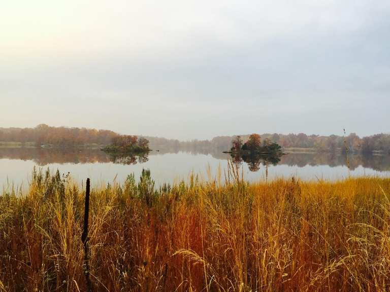 Top 10 Most Beautiful Road Biking Routes around Rye | Komoot
