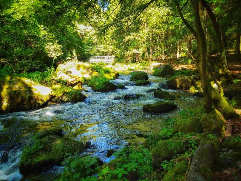 Die 20 schönsten Wanderungen im Vogtland 🚶 🏔 Komoot