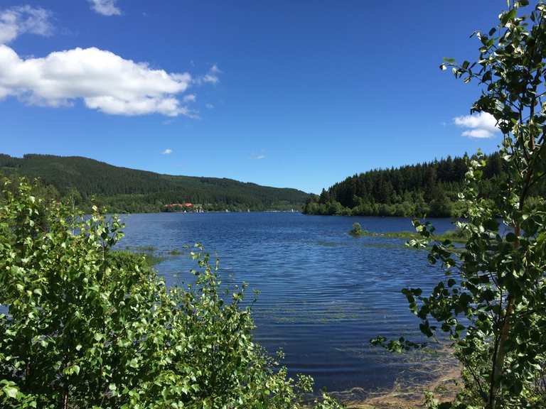 fahrrad schluchsee