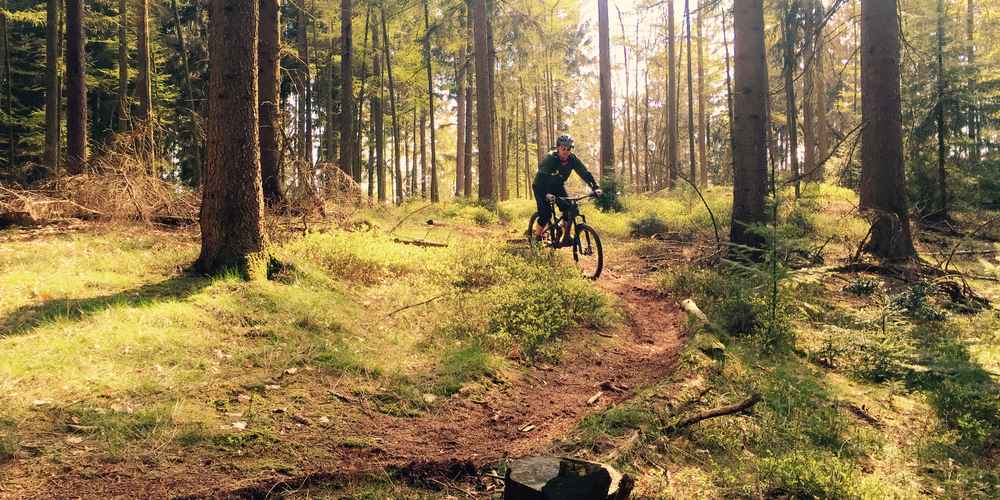 die 20 schonsten mountainbike touren rund um harburg komoot
