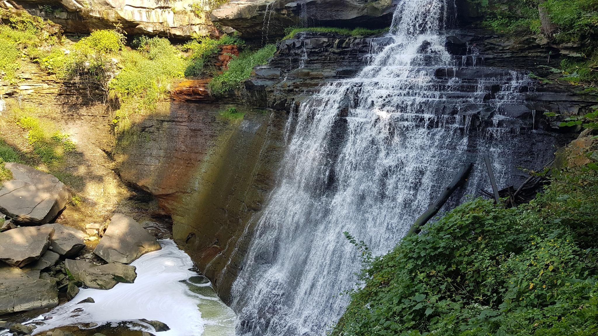 Top 9 Hikes and Walks around Peninsula Komoot