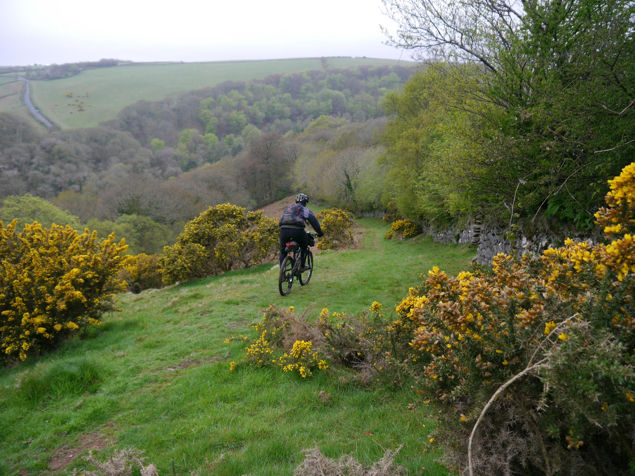 dartmoor mountain bike trails