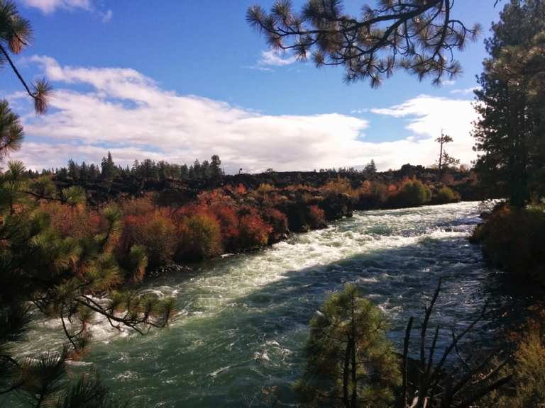 Top 10 Hikes and Walks around Deschutes River Woods Komoot