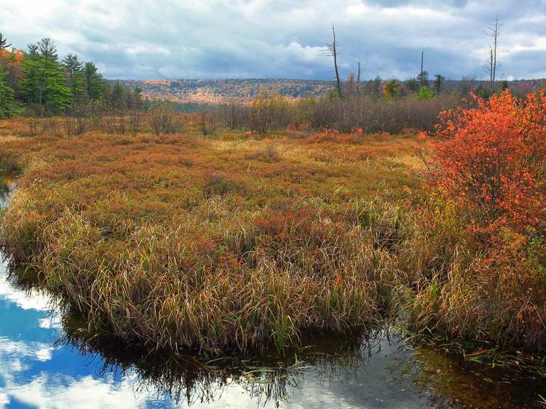 The best cycling routes around State College | Komoot