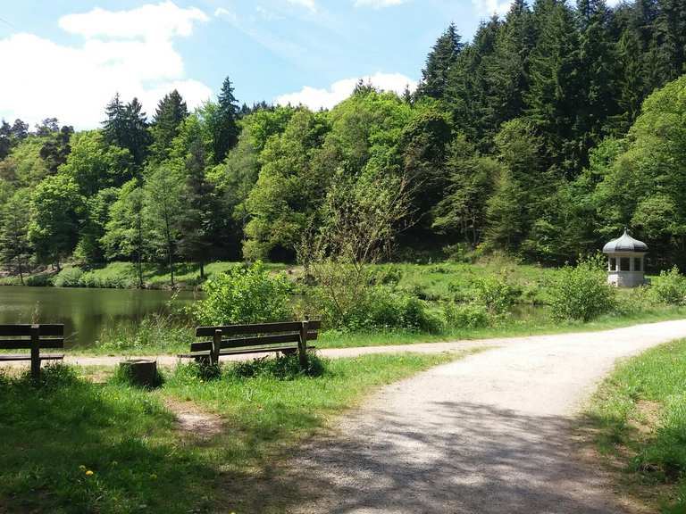 Die 10 schönsten Wanderungen rund um Bad Schwalbach Komoot