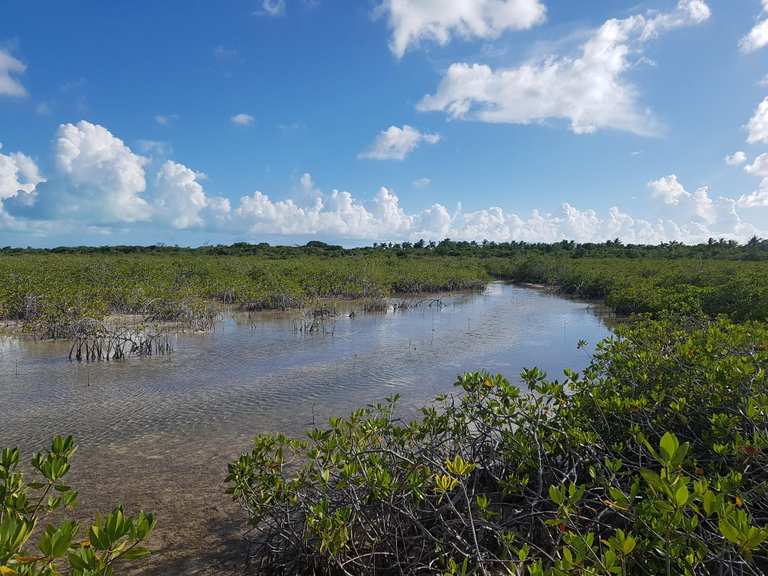 Attractions and Places To See in the Turks and Caicos Islands - Top 5
