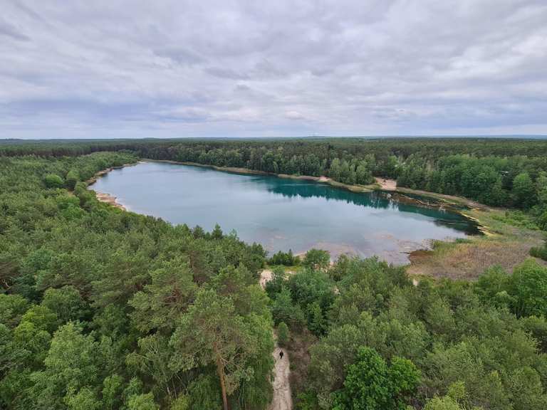 Die schönsten Wanderungen rund um Felixsee | Komoot