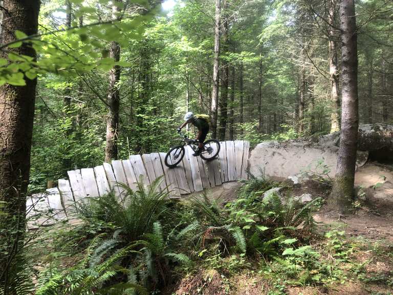 Top 10 Most Beautiful MTB Trails around Bellingham Komoot