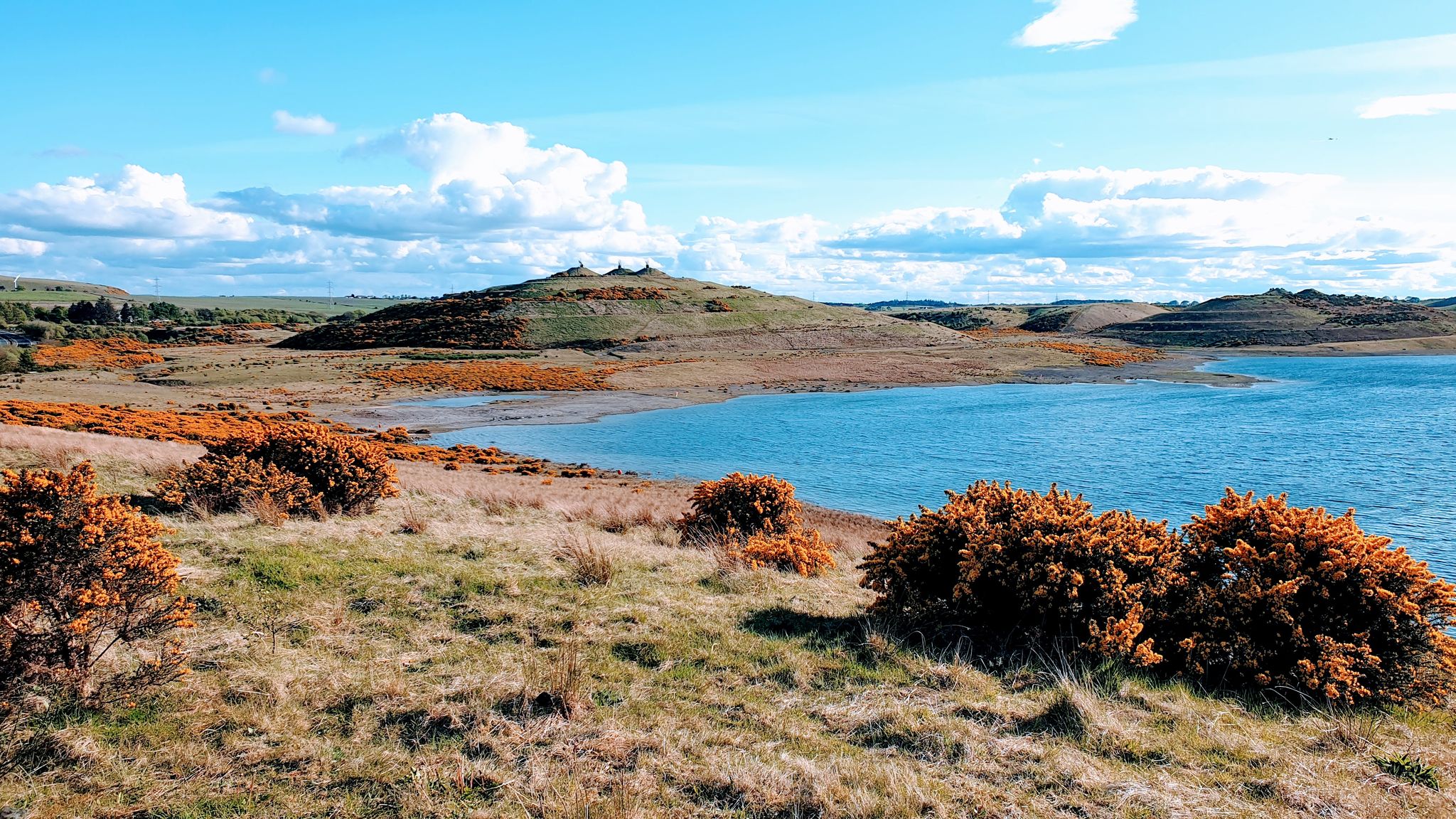 Top 20 Most Beautiful MTB Trails in Fife | Komoot