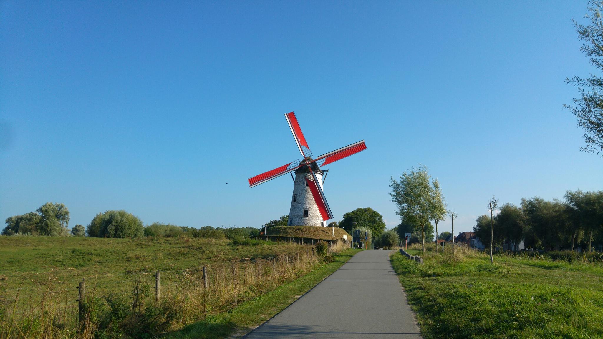 De 20 Mooiste Wandelroutes In Vlaanderen | Komoot