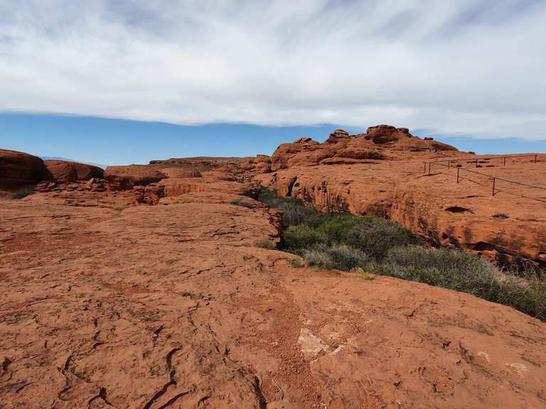 Top 5 Hikes and Walks in Cottonwood Forest Wilderness | Komoot