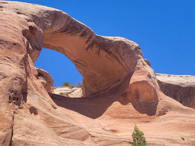 Top 5 Most Beautiful MTB Trails in Black Ridge Canyons Wilderness | Komoot