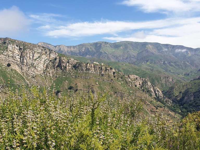 Dick Smith Wilderness