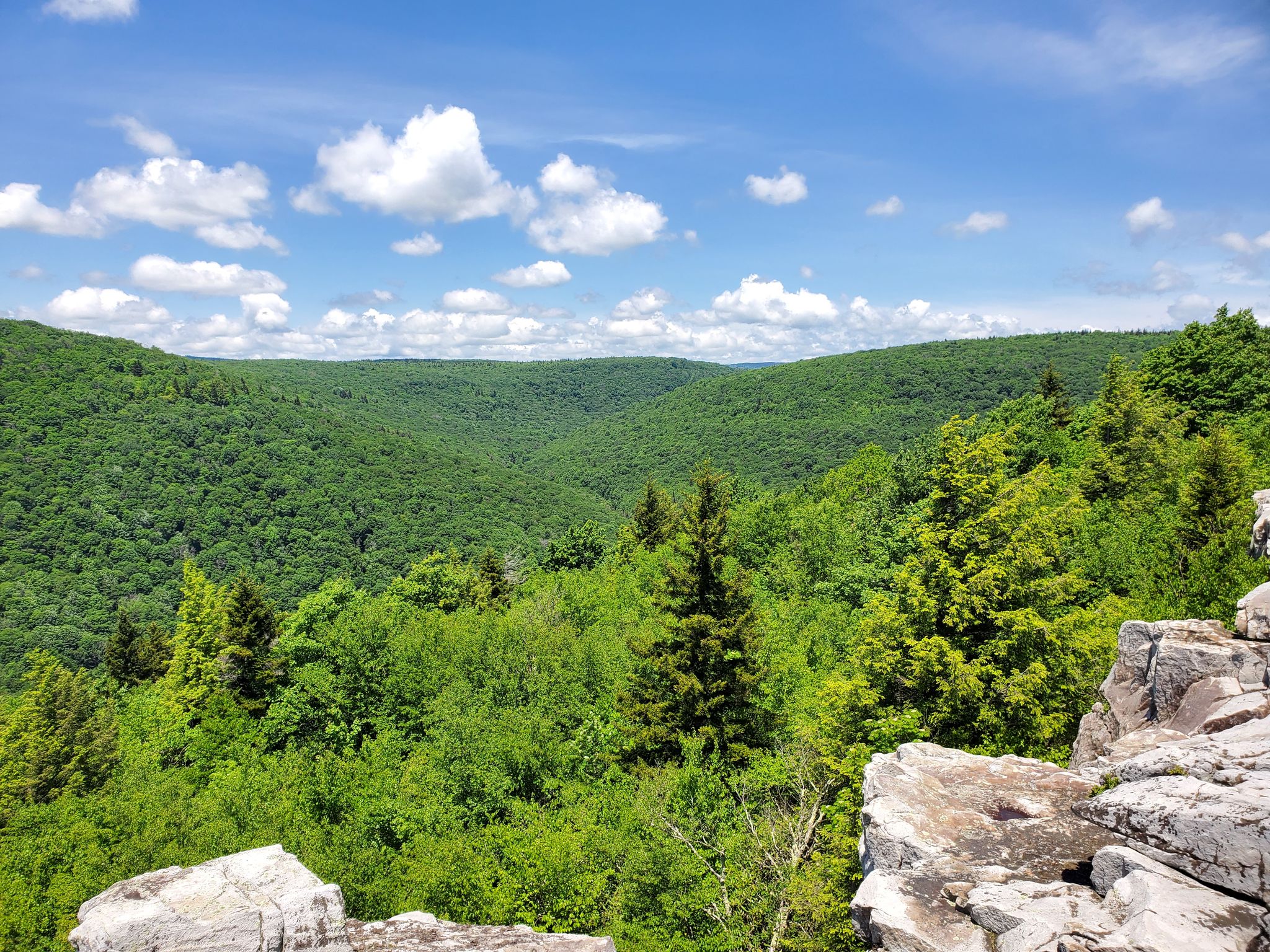 Top 14 Hikes and Walks in Dolly Sods Wilderness Komoot