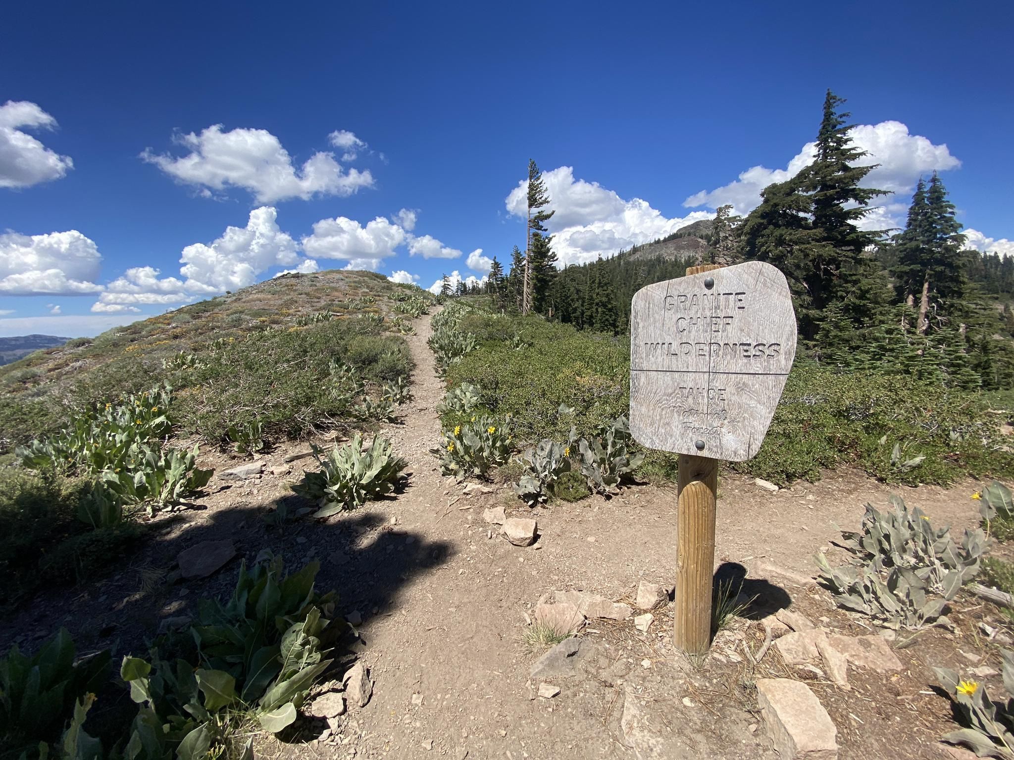 Top 18 Running Trails in Granite Chief Wilderness Komoot