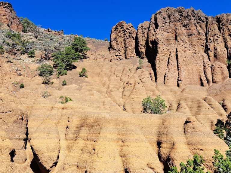 The best walks and hikes in Kendrick Mountain Wilderness | Komoot