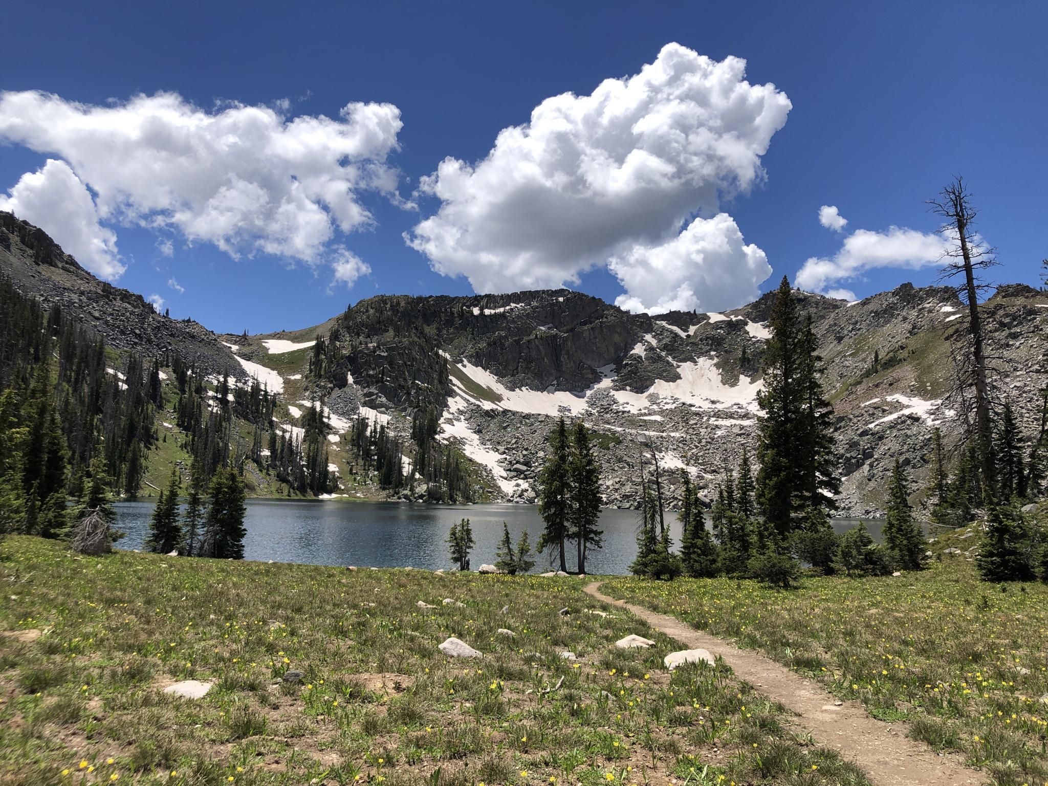 Top 5 Hikes and Walks in Mount Zirkel Wilderness Komoot