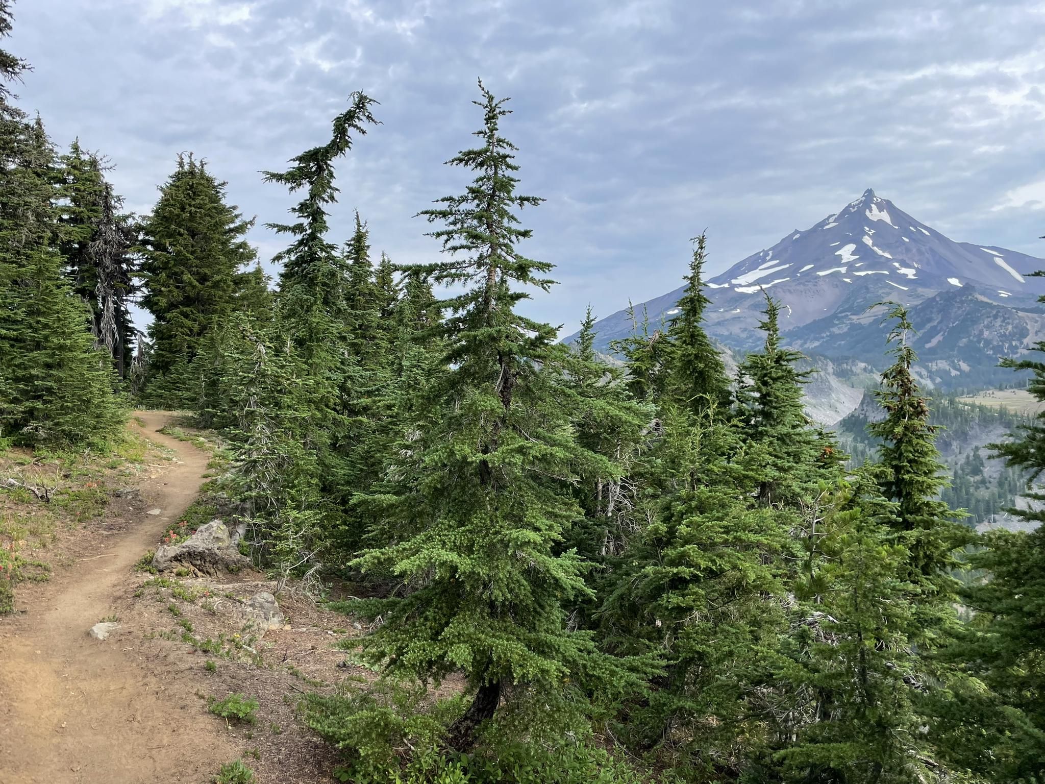 Jefferson wilderness hikes hotsell