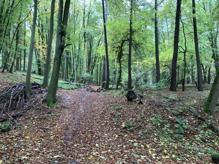 Top 10 rando VTT et circuits autour de Fuldatal itinéraires idées