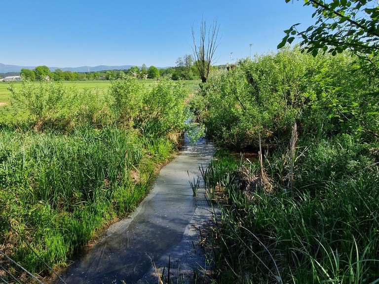 campingzelte amazon Aufblasbares Campingzelt Hüttenzelt, 2-4 Personen Glamping Zelte Sonnenunterstand, einfacher Aufbau wasserdichte Outdoor Oxford Zelte, aufblasbares Hauszelt Sport & Freizeit Größe:2 Where To Get Artifact luggages