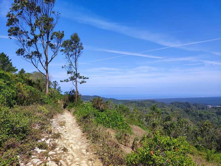 Die 10 schönsten Wanderungen rund um Alhadas | Komoot