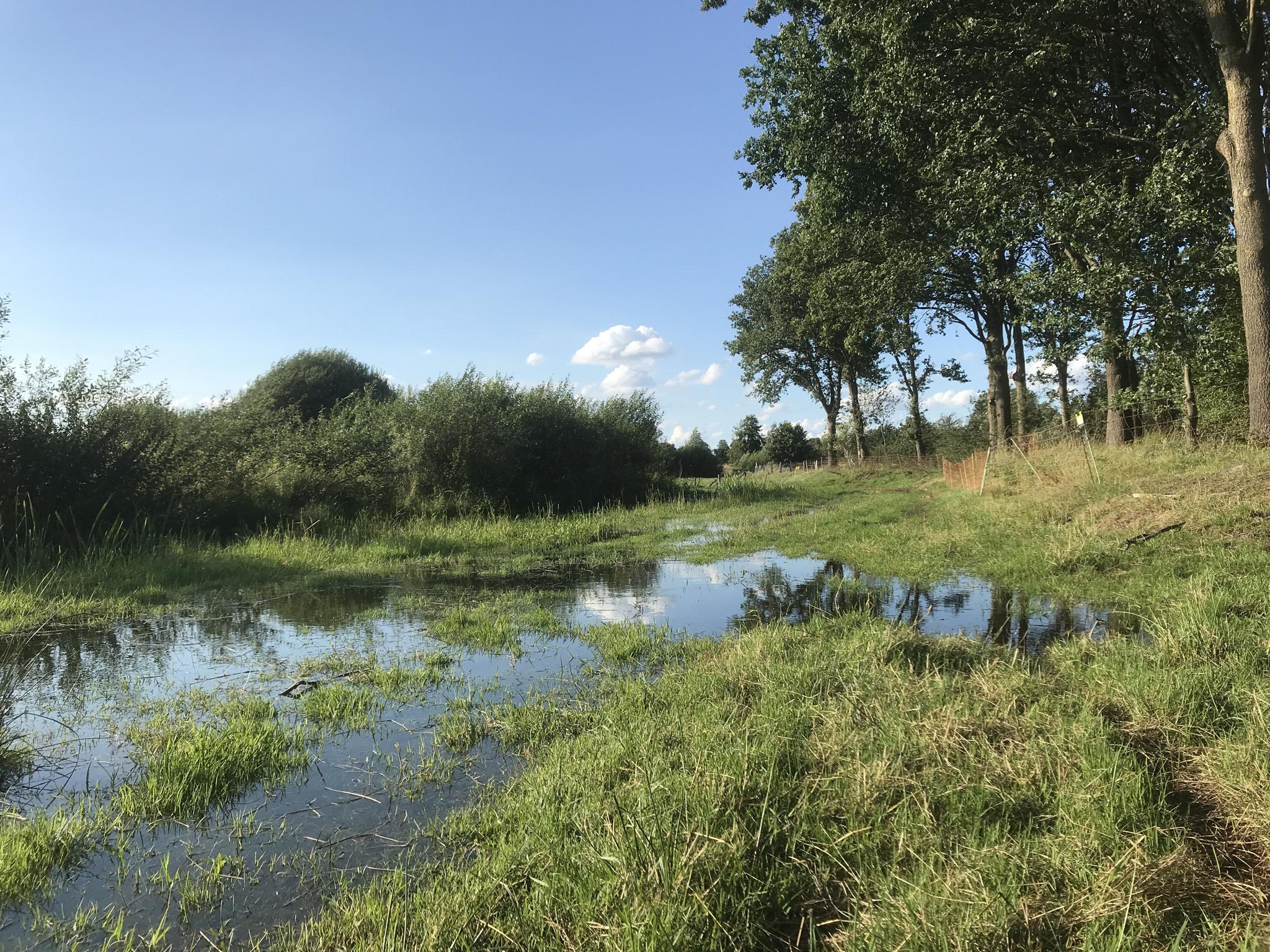 De 10 Mooiste Wandelroutes In Gelderland | Komoot