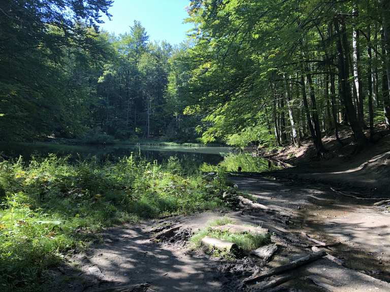 top-10-randonn-es-et-balades-autour-de-powiat-sanocki-komoot