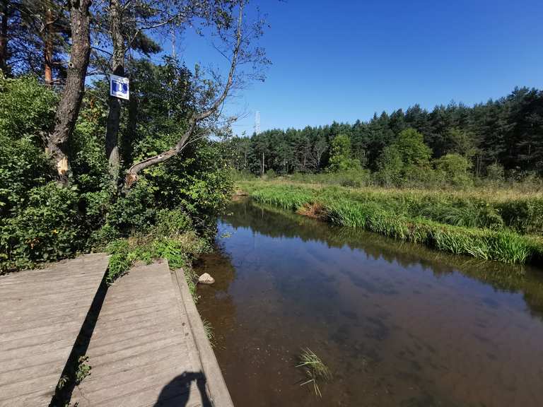Die 9 schönsten Wanderungen rund um Jaworzno Komoot